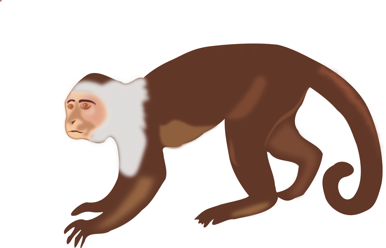 Daily Monkey Horoscope Tips for 2025