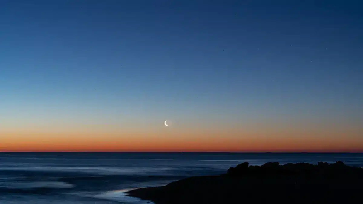 Venus Conjunct Spirit Composite